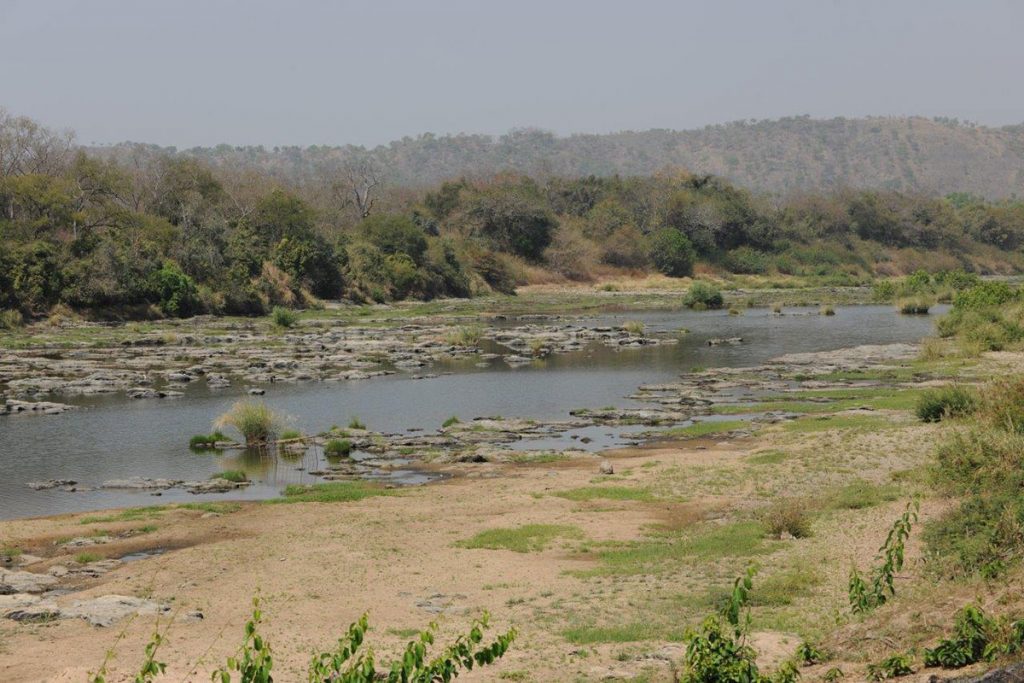 When Is It Time To Stop? - Peter Flack