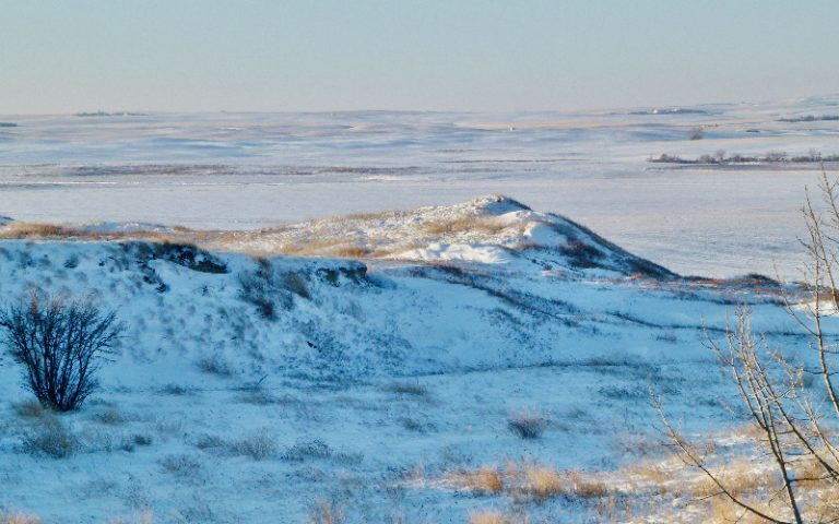 A New Year, New Horizons