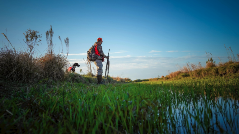 Why Pittman–Robertson Conservation Funding Works