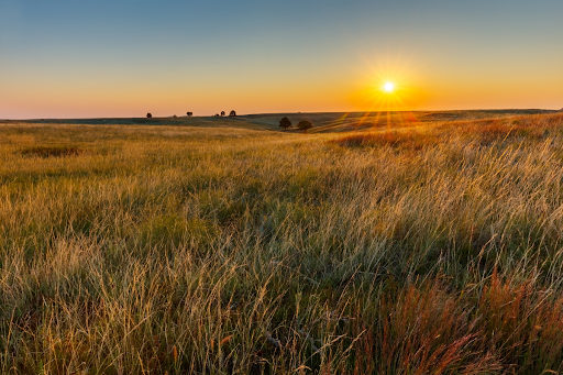 Mule Deer Foundation Receives $4 Million to Support Grassland Conservation Efforts