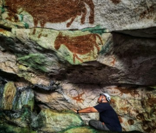 The Warty Pig That Sustained Us: Tracing an Ancient Bond Through the World’s Oldest Art